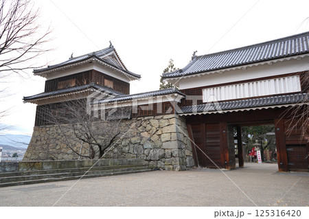 冬の上田城 125316420