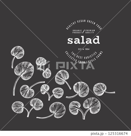 Vintage Style Chalk Board Watercress Illustration. Green Vegetable Illustration. Vector Hand Drawn Salad. 125316674