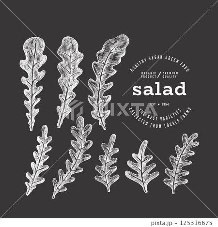 Vintage Style Chalk Board Arugula Illustration. Green Vegetable Illustration. Vector Hand Drawn Salad. 125316675