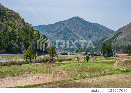 滋賀県湖北地方農村風景　長浜市 125317083