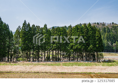 滋賀県湖北地方農村風景　長浜市 125317085