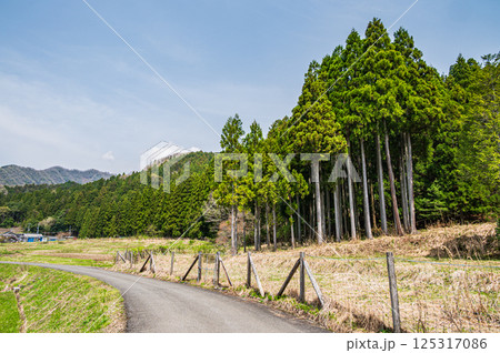 滋賀県湖北地方農村風景 長浜市 滋賀県湖北地方農村風景 長浜市 125317086