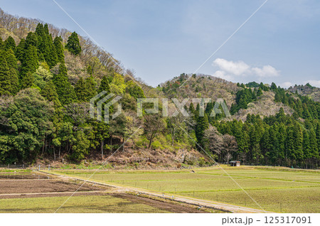 滋賀県湖北地方農村風景　長浜市 125317091