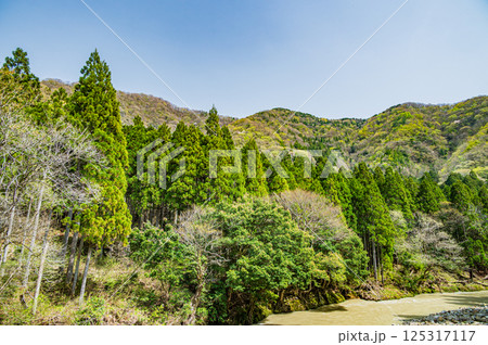 滋賀県湖北地方農村風景　長浜市 125317117