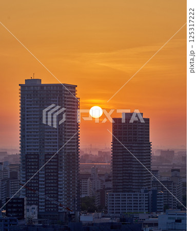 東京に昇る朝日|都市の目覚めと新しい一日の始まり 東京に昇る朝日|都市の目覚めと新しい一日の始まり 125317222