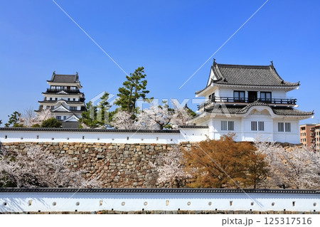 【広島県】桜咲く春の福山城(復興後)福山城桜まつり 【広島県】桜咲く春の福山城(復興後)福山城桜まつり 125317516