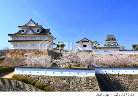 【広島県】桜咲く春の福山城(復興後)福山城桜まつり 【広島県】桜咲く春の福山城(復興後)福山城桜まつり 125317518