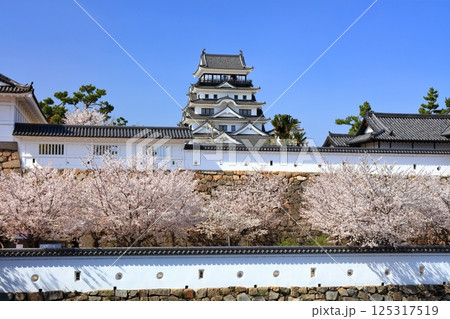 【広島県】桜咲く春の福山城(復興後)福山城桜まつり 【広島県】桜咲く春の福山城(復興後)福山城桜まつり 125317519