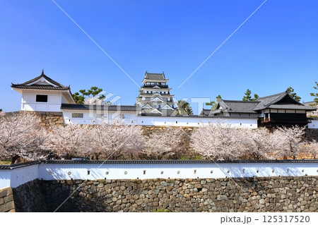 【広島県】桜咲く春の福山城（復興後）福山城桜まつり 125317520