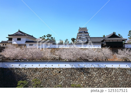 【広島県】桜咲く春の福山城（復興後）福山城桜まつり 125317521
