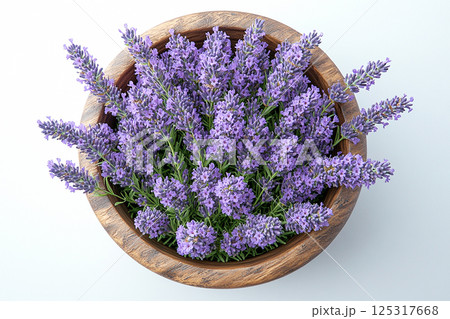 Close-up of a potted lavender plant with purple flowers on a white background. Herb bush is grow in ceramic pot. Top view 125317668