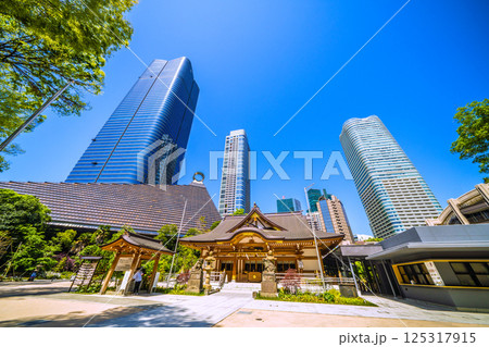 日本の東京都市景観 麻布台ヒルズや八幡神社などを望む 日本の東京都市景観 麻布台ヒルズや八幡神社などを望む 125317915