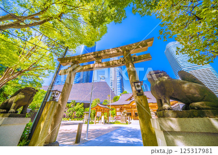日本の東京都市景観 麻布台ヒルズや八幡神社などを望む 日本の東京都市景観 麻布台ヒルズや八幡神社などを望む 125317981