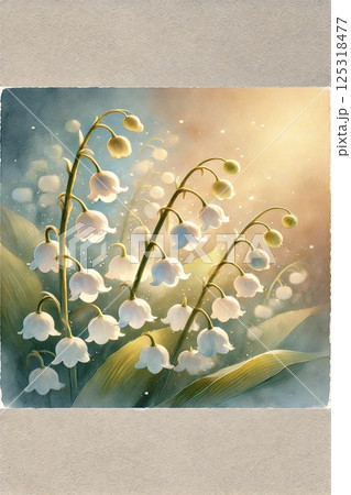 スズランの花 125318477