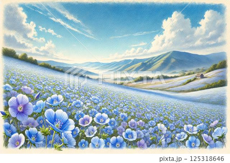 ネモフィラの丘 ネモフィラの丘 125318646