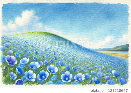 ネモフィラの丘 ネモフィラの丘 125318647