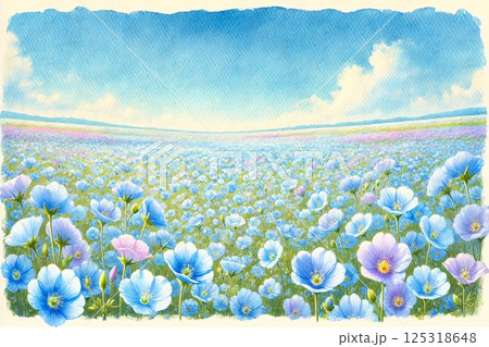 ネモフィラの丘 ネモフィラの丘 125318648