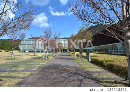 島根県立古代出雲歴史博物館 島根県立古代出雲歴史博物館 125318861