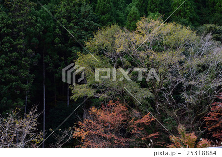 東峰村の紅葉 東峰村の紅葉 125318884