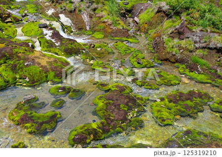 チャツボミゴケ公園・穴地獄 125319210