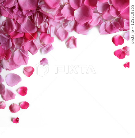 Natural background of rose petals 125319255
