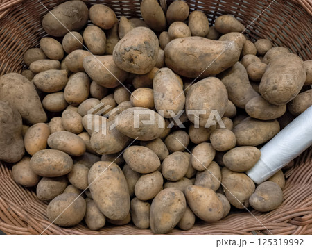 Wicker basket overflowing with freshly harvested potatoes in Prague, Czech republic at Holesovice market 125319992