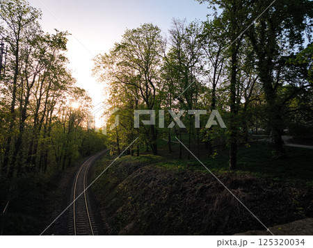 Railway tracks winding through lush green forest at sunset in Stromovka park Railway tracks winding through lush green forest at sunset in Stromovka park 125320034