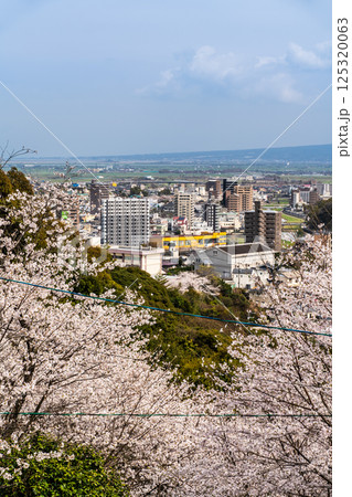 御館山稲荷神社の桜【長崎県諫早市】 御館山稲荷神社の桜【長崎県諫早市】 125320063