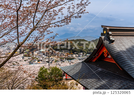御館山稲荷神社の桜【長崎県諫早市】 御館山稲荷神社の桜【長崎県諫早市】 125320065