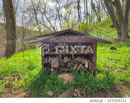 Wooden insect shelter providing sanctuary for beneficial bugs, supporting pollination and natural pest control in lush forest environment Wooden insect shelter providing sanctuary for beneficial bugs, supporting pollination and natural pest control in lush forest environment 125320112