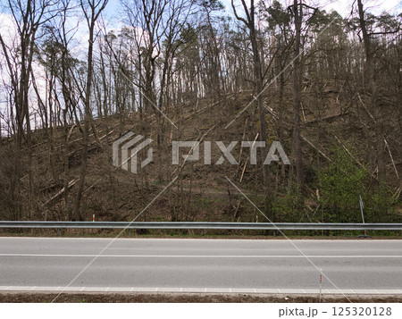 Toppled trees blanketing steep hillside alongside paved roadway, revealing forest destruction aftermath Toppled trees blanketing steep hillside alongside paved roadway, revealing forest destruction aftermath 125320128