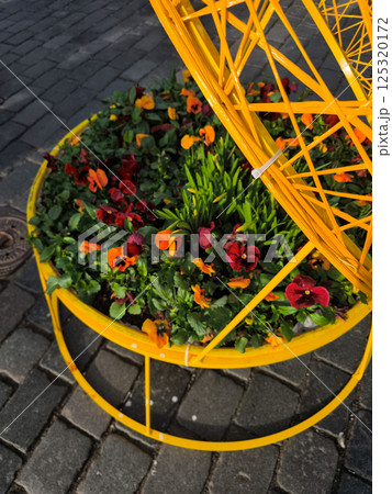 Colorful pansies growing in a yellow street planter in prague 125320172