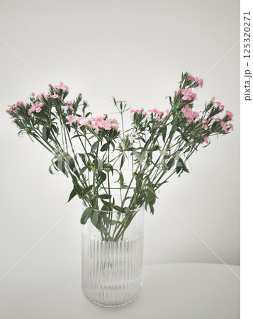 Pink carnations bouquet in elegant glass vase on white table copy space 125320271