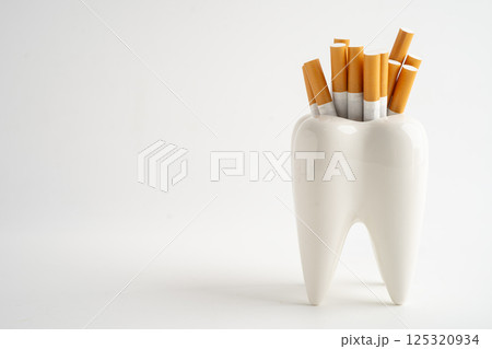 Cigarette in teeth model isolated on white background, damage the health of your teeth, No smoking. 125320934