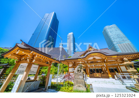 日本の東京都市景観　麻布台ヒルズや八幡神社などを望む 125321024