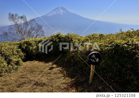 天子山地の雨ヶ岳山頂より望む富士山 125321108