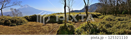 天子山地の雨ヶ岳山頂より富士山を望むパノラマ 天子山地の雨ヶ岳山頂より富士山を望むパノラマ 125321110