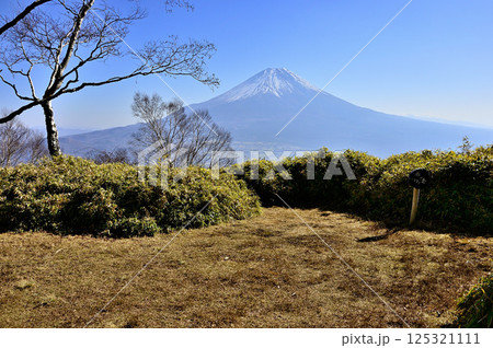 天子山地の雨ヶ岳山頂より富士山を望む 125321111