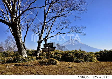天子山地の雨ヶ岳山頂　雪被る富士山を眺める 125321115