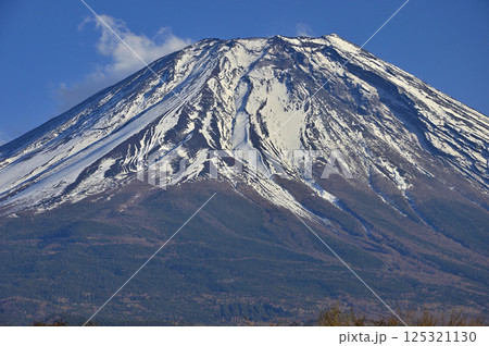 静岡県富士宮市　朝霧高原から望む雄大な富士山 125321130