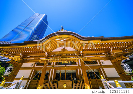 日本の東京都市景観 麻布台ヒルズや八幡神社などを望む 日本の東京都市景観 麻布台ヒルズや八幡神社などを望む 125321152