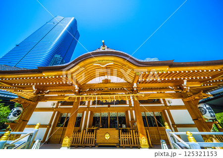 日本の東京都市景観　麻布台ヒルズや八幡神社などを望む 125321153