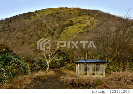 天子山地　石仏見晴台より望む日の出の頃の竜ヶ岳 125321209