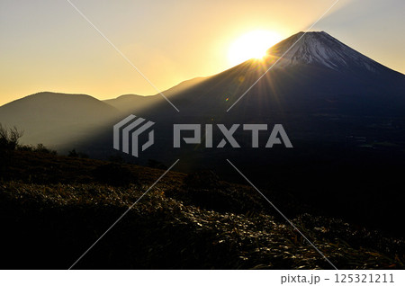 天子山地の竜ヶ岳より　日の出を迎えた富士山 125321211