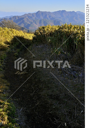 天子山地 竜ヶ岳の笹原の道より望む御坂山地 天子山地 竜ヶ岳の笹原の道より望む御坂山地 125321234