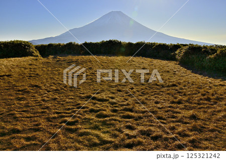 天子山地の竜ヶ岳山頂　広い頂から望む富士山 125321242