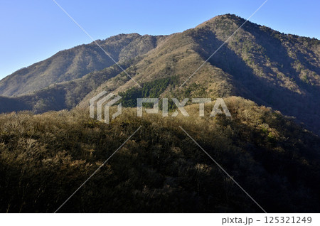 天子山地の竜ヶ岳から眺める晩秋のタカデッキと雨ヶ岳 125321249