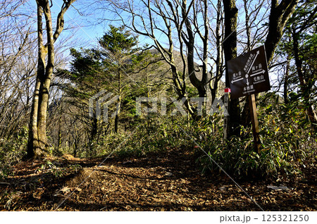 天子山地の端足峠（はしたとうげ）　雨ヶ岳と竜ヶ岳との鞍部 125321250