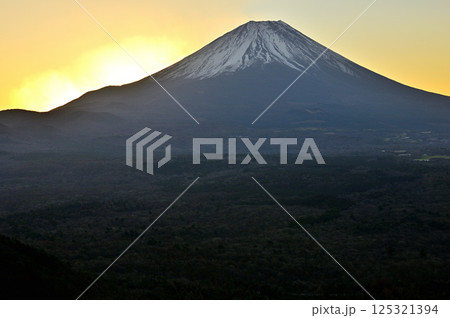 天子山地の竜ヶ岳より　日の出前の神々しい富士山 125321394