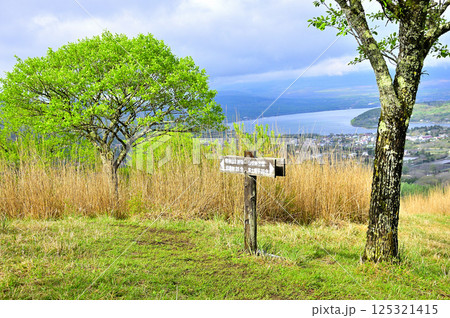 丹沢の甲相国境尾根　新緑の高指山山頂に山中湖 125321415